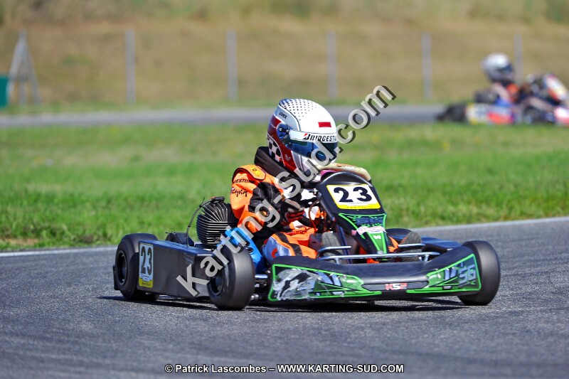 DSC_ (1340).jpg
